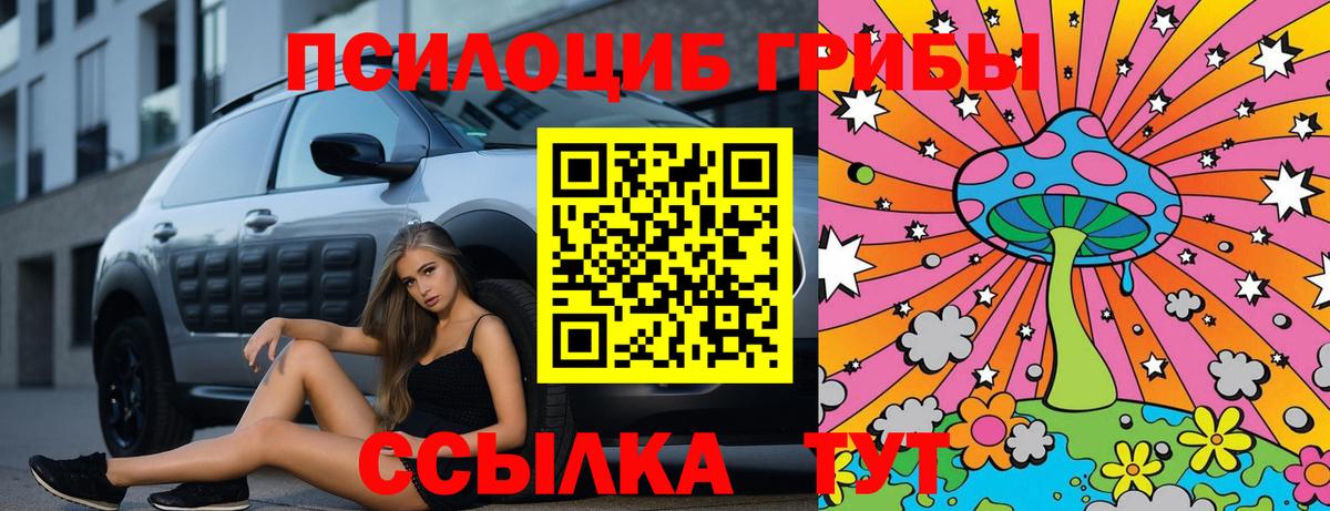 Десногорск  Псилоцибиновые грибы Cubensis  Вход с VPN 
