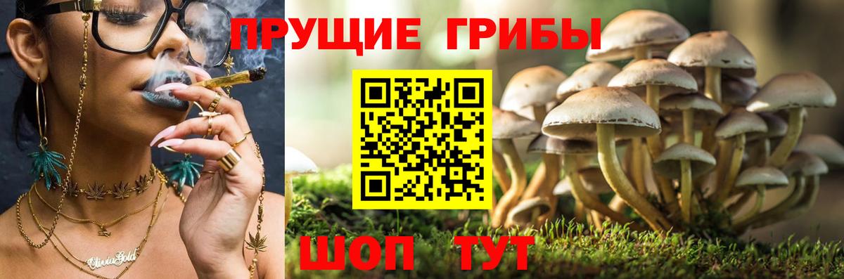 Псилоцибиновые грибы ЛСД Десногорск